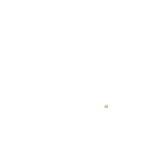 Bizovara